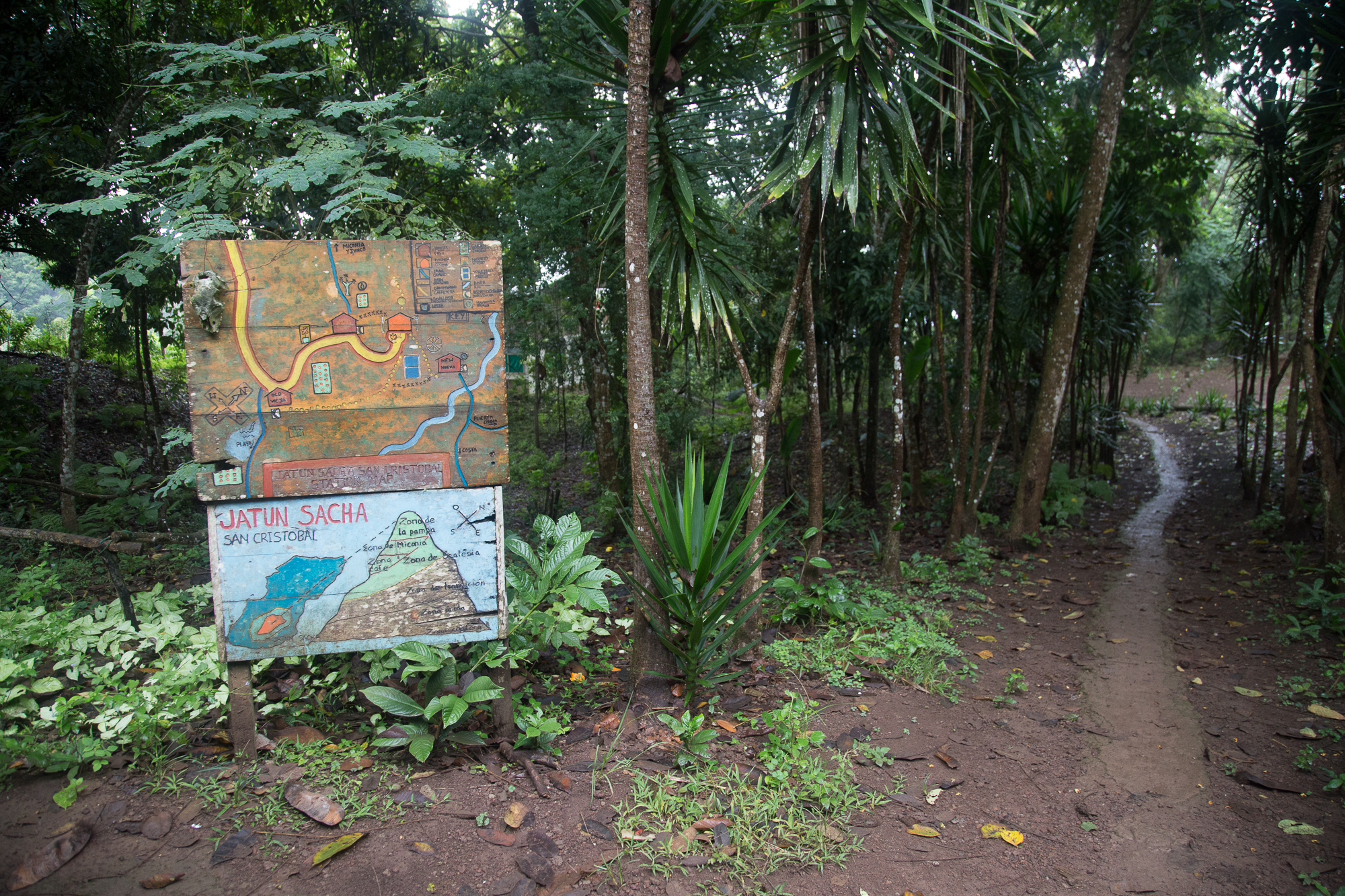 Volunteering in the Galapagos